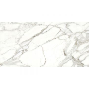 Керамогранит Laparet (Лапарет) Angel Blanco белый SG50002520R 60х119,5 см матовый