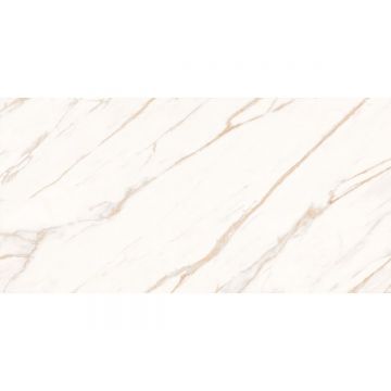 Керамогранит Laparet (Лапарет) Astro Ivory светло-бежевый SG50004820R 60х119,5 см матовый