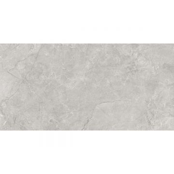 Керамогранит Laparet (Лапарет) Pluto Silver светло-серый SG50005220R 60х119,5 см матовый