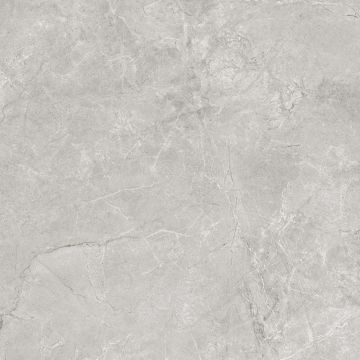 Керамогранит Laparet (Лапарет) Pluto Silver светло-серый SG625820R 60х60 см матовый