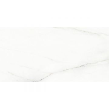 Керамогранит Laparet (Лапарет) Voyage Blanco белый SG50002320R 60х119,5 см матовый