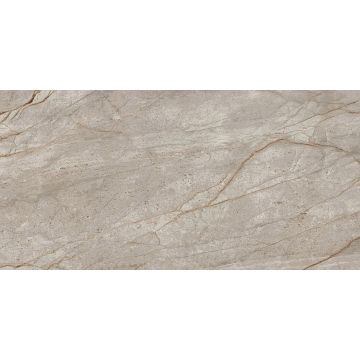 Керамогранит Atlas Concorde (Атлас Конкорд) Эмпаир Сильвер Рут 60x120 см, 610010002187