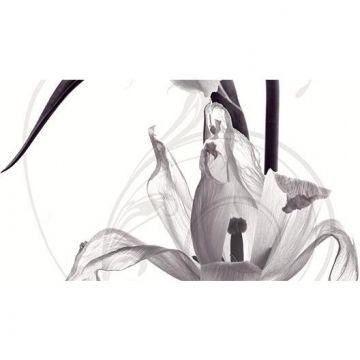 Панно Ceradim (Керадим) Dec Pulsar Panno A КПН16PulsarA 25х45 см