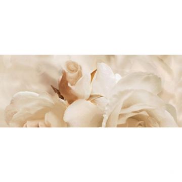 Панно Ceradim (Керадим) Dec Rosario Panno A КПН17RosarioA 20х50 см