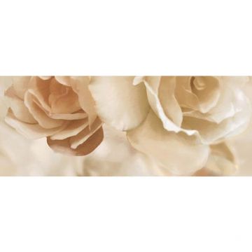 Панно Ceradim (Керадим) Dec Rosario Panno B КПН17RosarioB 20х50 см