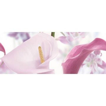 Панно Ceradim (Керадим) Dec Sano Panno A КПН17SanoA 20х50 см