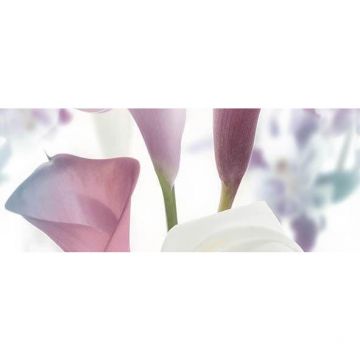 Панно Ceradim (Керадим) Dec Sano Panno B КПН17SanoB 20х50 см