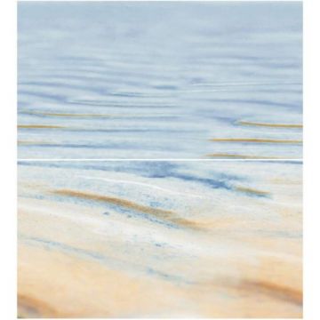 Панно Ceradim (Керадим) Dec Starfish 2 Panno КПН16Starfish2 50х45 см компл.