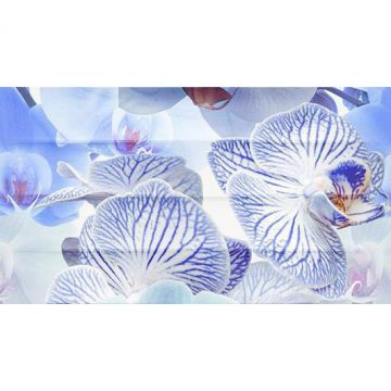 Панно Ceradim (Керадим) Dec Vanda Panno A КПН16VandaA 25х45 см