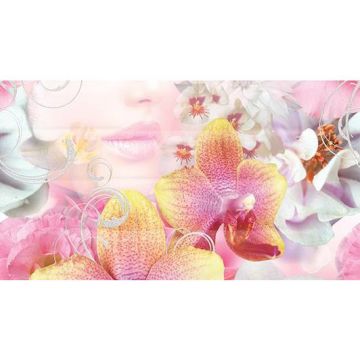 Панно Ceradim (Керадим) Dec Vision Panno B КПН16VisionB 25х45 см