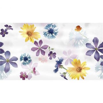 Панно Ceradim (Керадим) Dec Glen Panno B КПН16GlenB 25х45 см