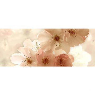 Панно Ceradim (Керадим) Dec Manzano Panno B КПН17ManzanoB 20х50 см