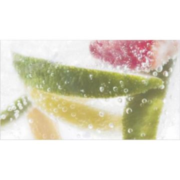 Декор Ceradim Dec Mojito 2 25х45 см
