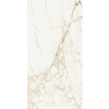 Керамогранит Coliseumgres (Колизеум Грес) Микеланджело Ворм Рет 60х120 см 610010002745