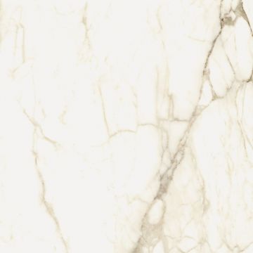 Керамогранит Coliseumgres (Колизеум Грес) Микеланджело Ворм Рет 60х60 см 610010002748