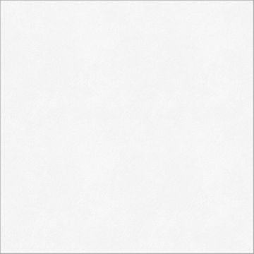 Керамогранит Gracia Ceramica (Грация Керамика) Monocolor sugar white белый PG 01 45х45 см 010400000671