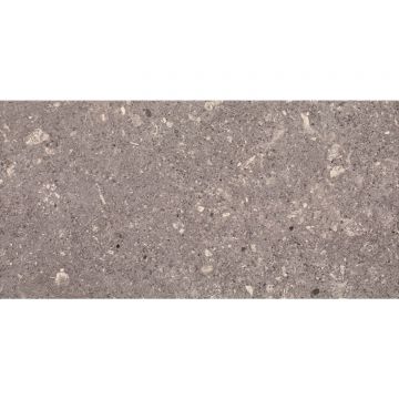 Настенная плитка Paradyz Aragorn Grys 30х60 см