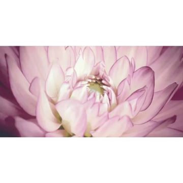 Декор Paradyz (Парадайз) Sorenta mocca durst kwiaty В 30х60 см