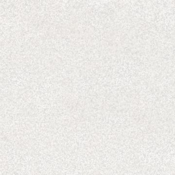 Керамогранит Keramin (Керамин) Габбро 7 светло-серый подполированный 60х60 см