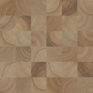 Керамогранит Keramin (Керамин) Шиен 4 коричневый 50х50 см