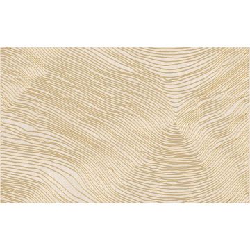 Декор Шахтинская плитка (Шахты) Эфа бежевый 01 25х40 см