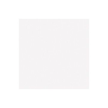 Настенная плитка Ape Ceramica Blanco Brillo 20х20 см