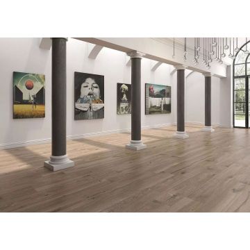 Керамогранит Geotiles Plank Roble 20x120 см Compacglass