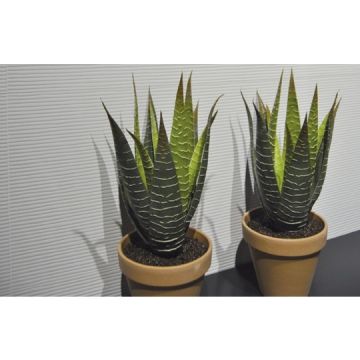 Настенная плитка Emigres (Эмигрес) Silextile Deco Negro 25x75 см (915437)