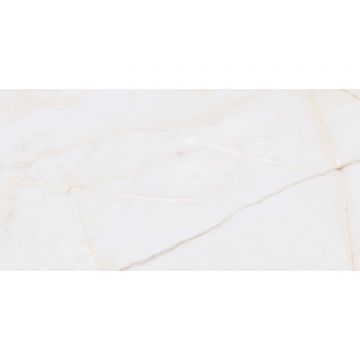 Керамогранит Undefasa Essenza PW R 60х120 см