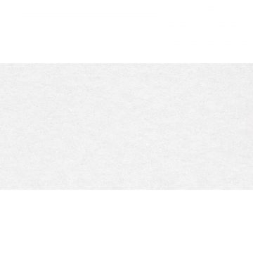 Керамогранит Delacora (Делакора) Absolute Ice 60х120 см D12038M