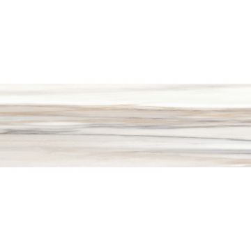 Керамическая плитка Delacora (Делакора) Palissandro Dark 24,6х74 см WT15POL31R