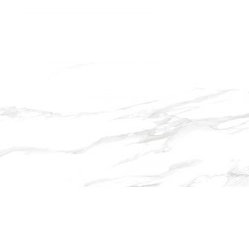 Керамогранит Delacora (Делакора) Statuario Silver Matt 60х120 см 60120GP42STA00