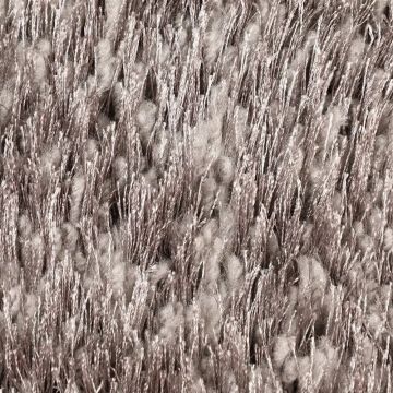 Ковролин шегги Oz Kaplan (Оз Каплан) Defier (01800a grey) , 2 м