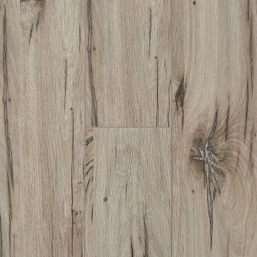 Ламинат Kastamonu (Кастамону) Sunfloor 8/33 Дуб Северная Звезда (Oak North Star), Sf63