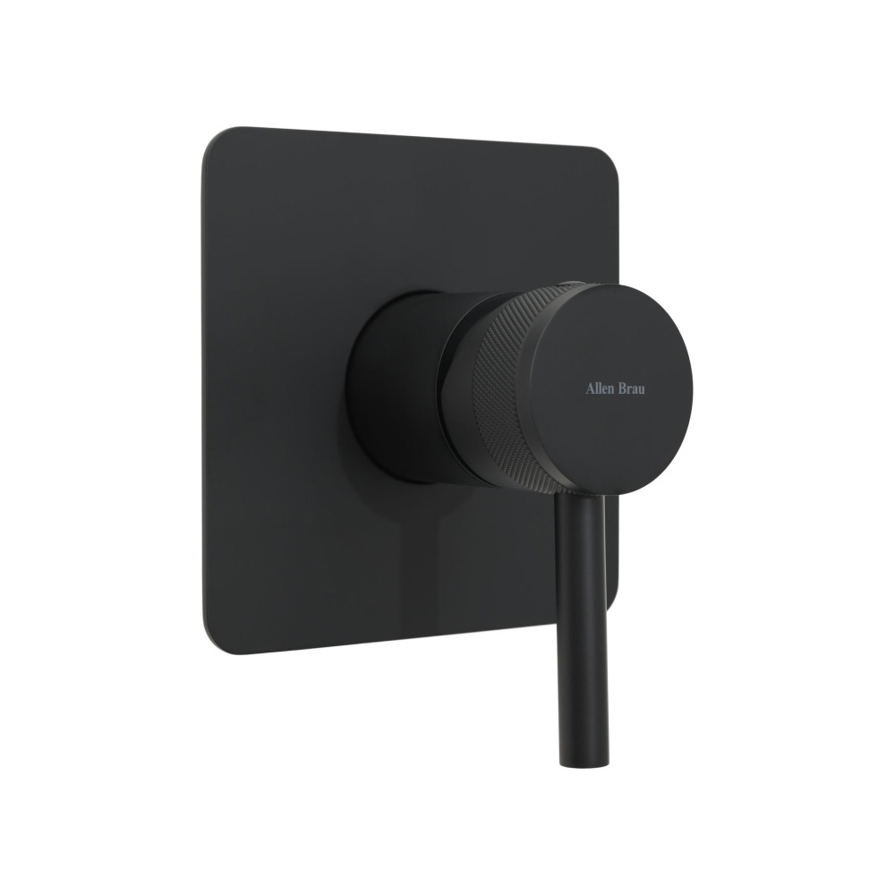 Смеситель для душа Allen Brau (Аллен Брау) Priority 5.31012-31 с внутренней частью, черный матовый