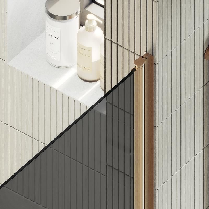 Душевая дверь Maybahglass (Майбахгласс) на монопетле 1980х900 мм, Стекло 6 мм Графит MGD-812-2