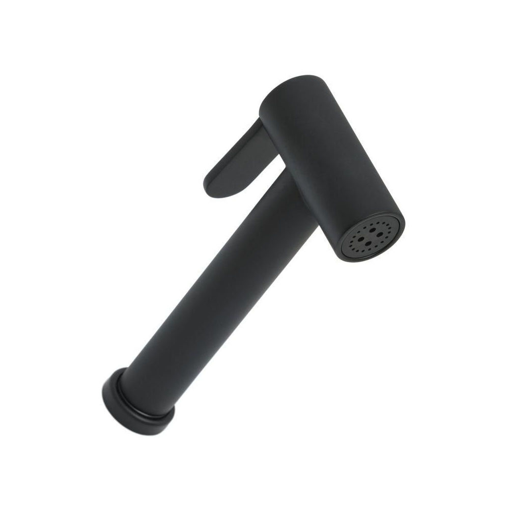 Гигиеническая лейка Allen Brau (Аллен Брау) Priority 5.31028-31, черный матовый