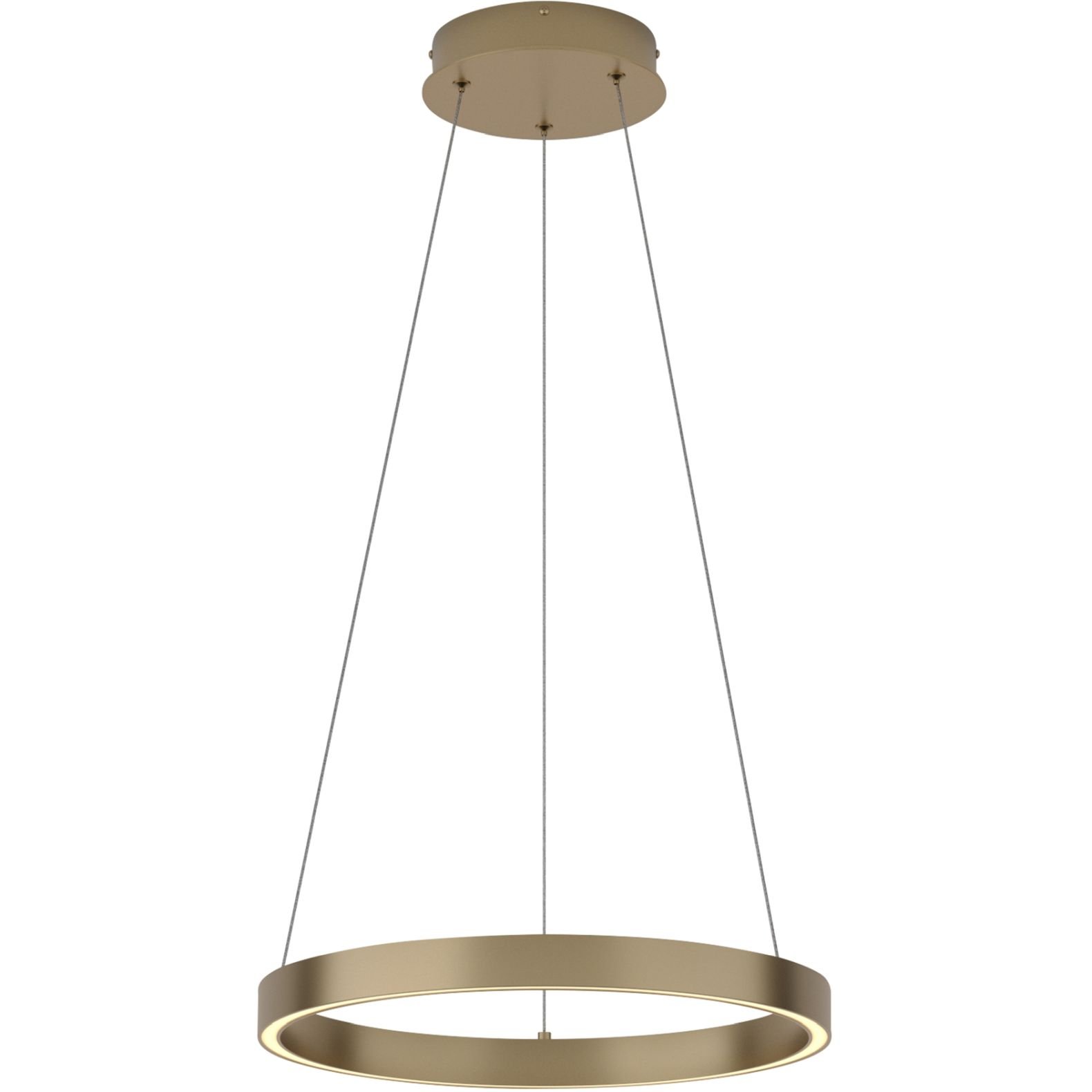 Светильник Maytoni (Майтони) светодиодный подвесной Rim MOD058PL-L22BS3K