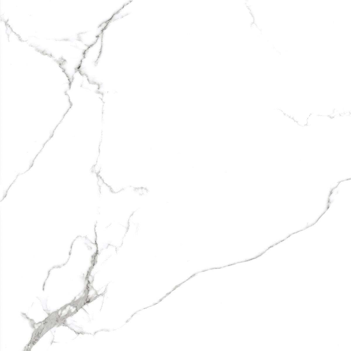 Керамогранит Royce (Ройс) Calacatta Venatino 60x60 см Matt R_NR1001