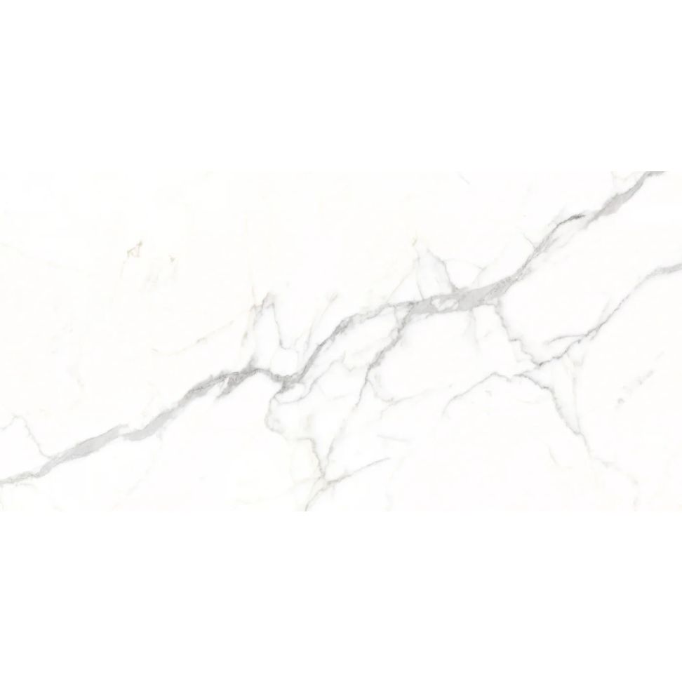 Керамогранит Dogma (Догма) Project Antibacterial Torino Silk Natural Rettificato 60x120 см (DPA601216SN)