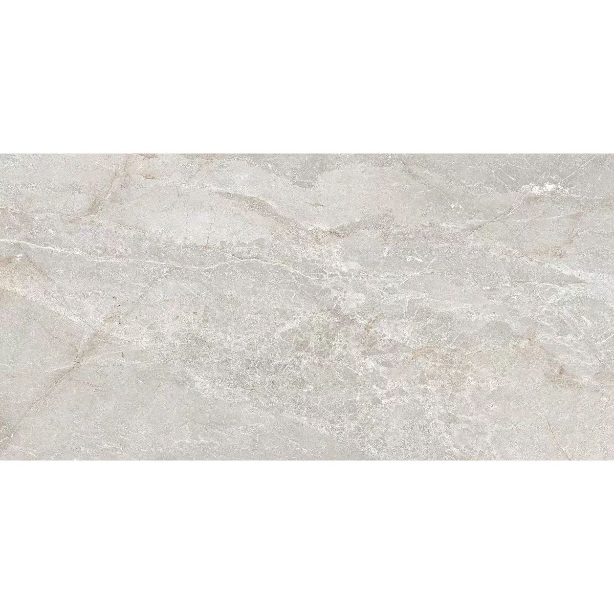 Керамогранит Artceramic Stonico Oyster Grey 60x120 см Glossy