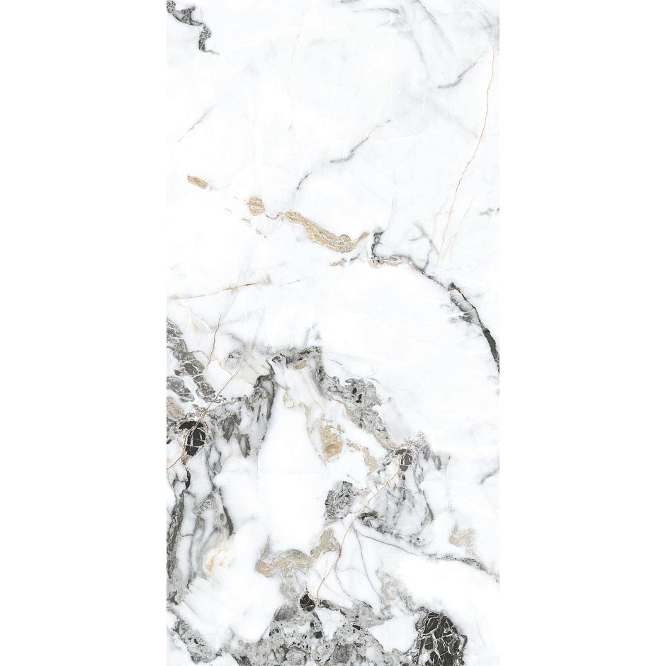 Керамогранит Basconi Home (Баскони Хоме) Bianco Gold Full Body-4 Polished Белый 60x120x0.8 см, BHW-0035-4