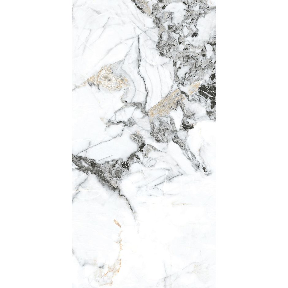 Керамогранит Basconi Home (Баскони Хоме) Bianco Gold Full Body-6 Polished Белый 60x120x0.8 см, BHW-0035-6