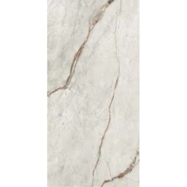 Керамогранит Imola (Имола) The Room Gre RO6 12 RM 60x120 см