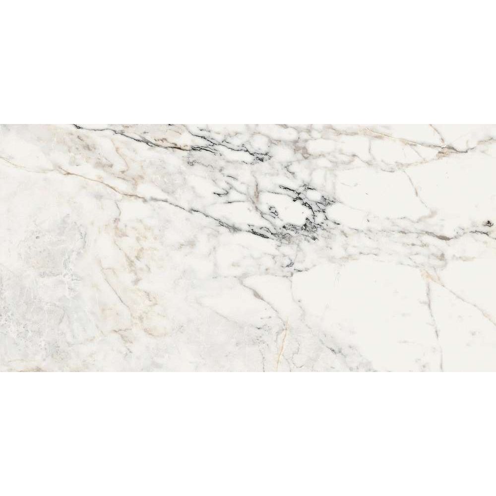 Керамогроанит La Faenza (Ля Фаэнза) Aesthetica AE PAO6 12 LP 60х120 см