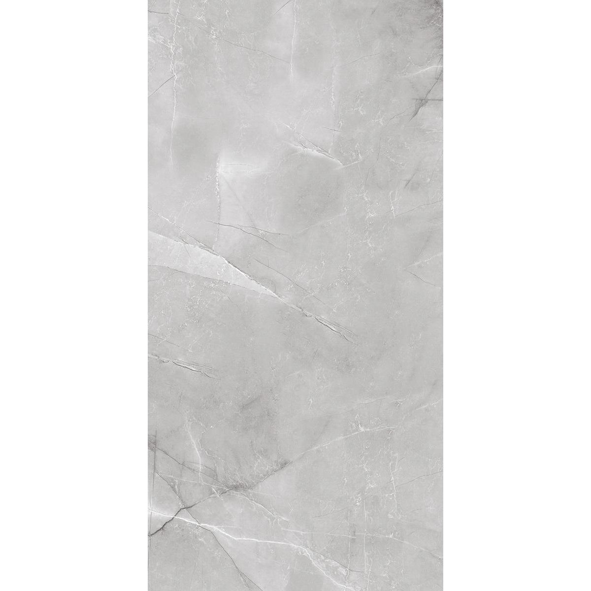 Керамогранит Absolut Gres (Абсолют Грес) Armani Silver полированный 120x60 см, AB1142G