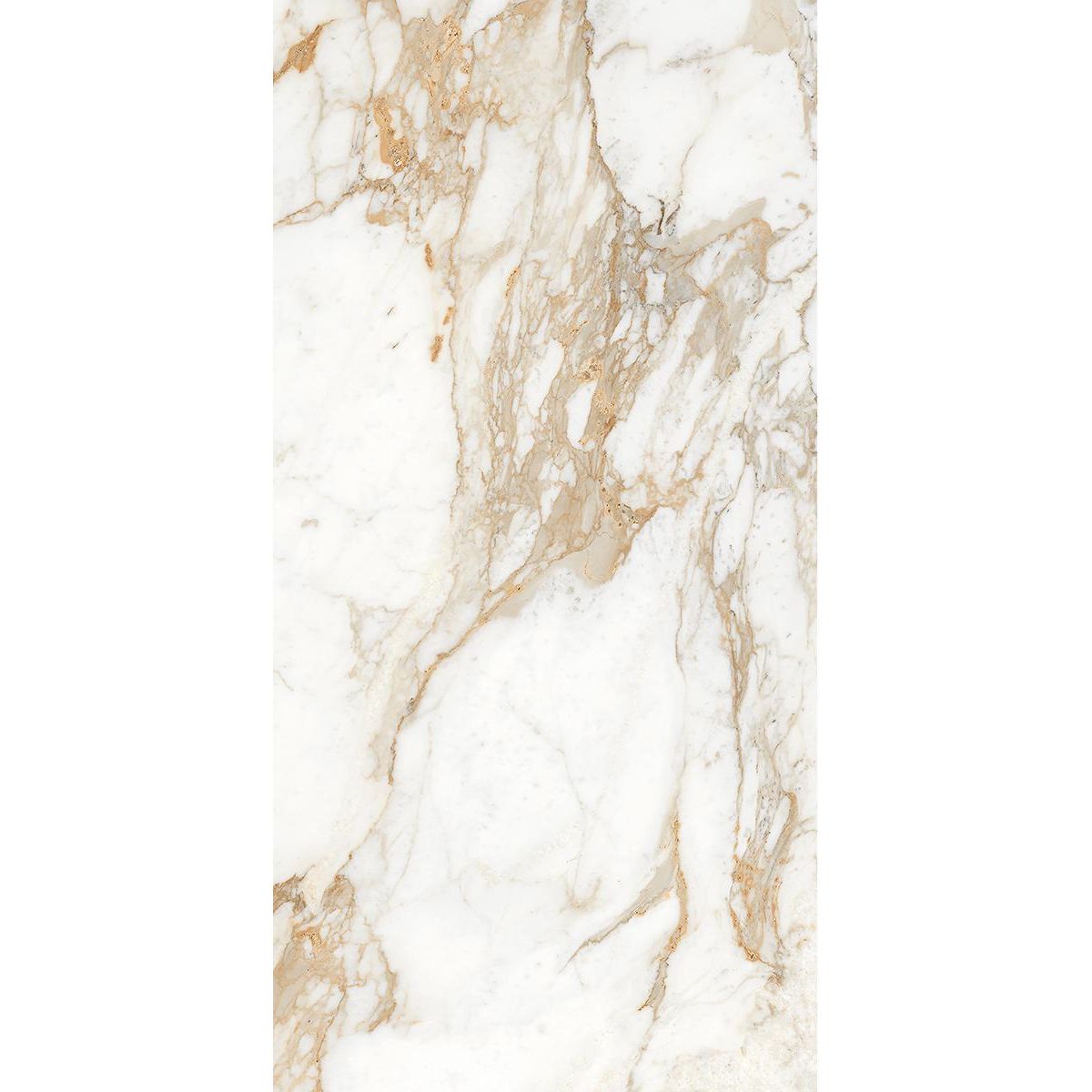 Керамогранит Absolut Gres (Абсолют Грес) Calacatta SUN матовый 120x60 см, AB1101M