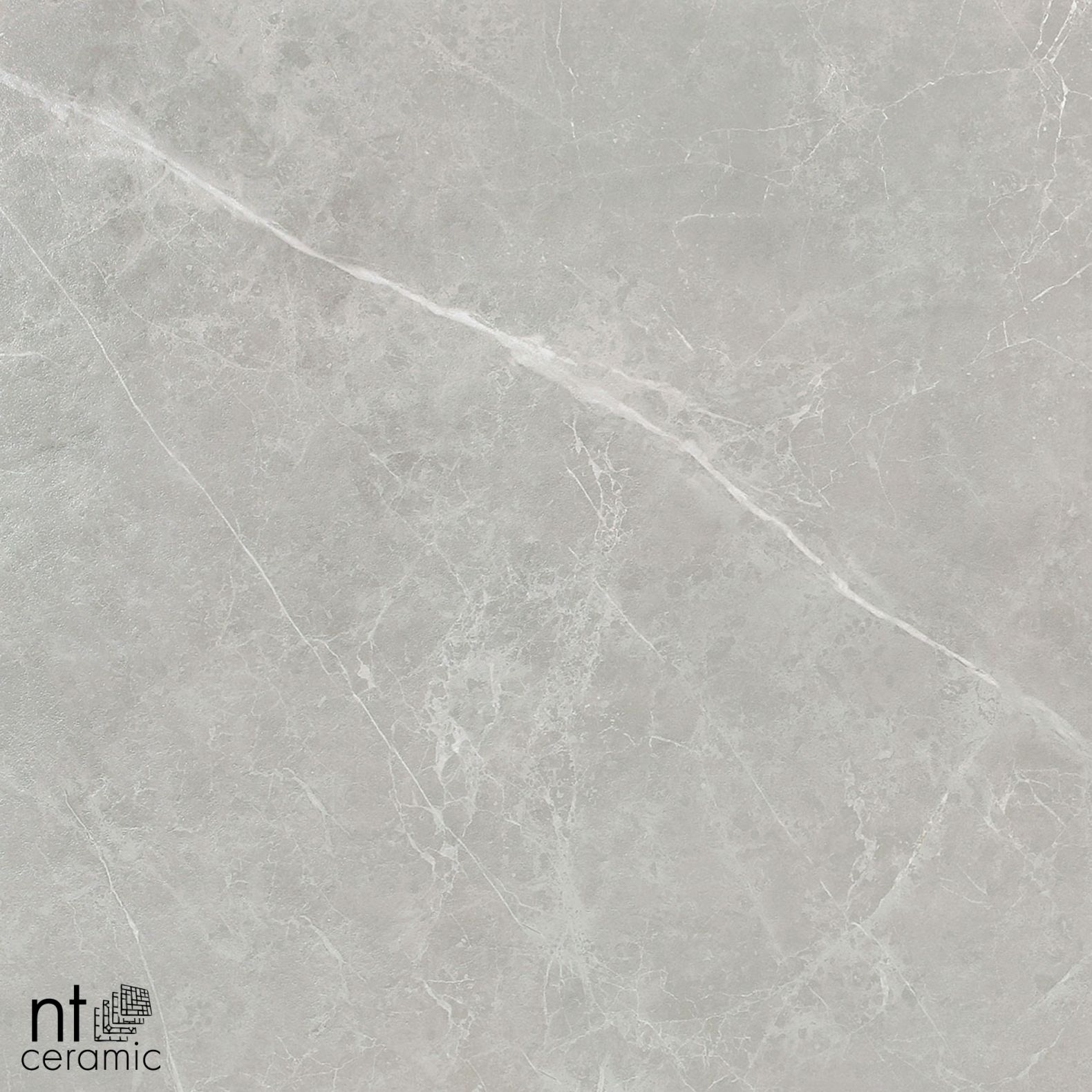 Керамогранит NT Ceramic Pietra NTT1101 60х120 см
