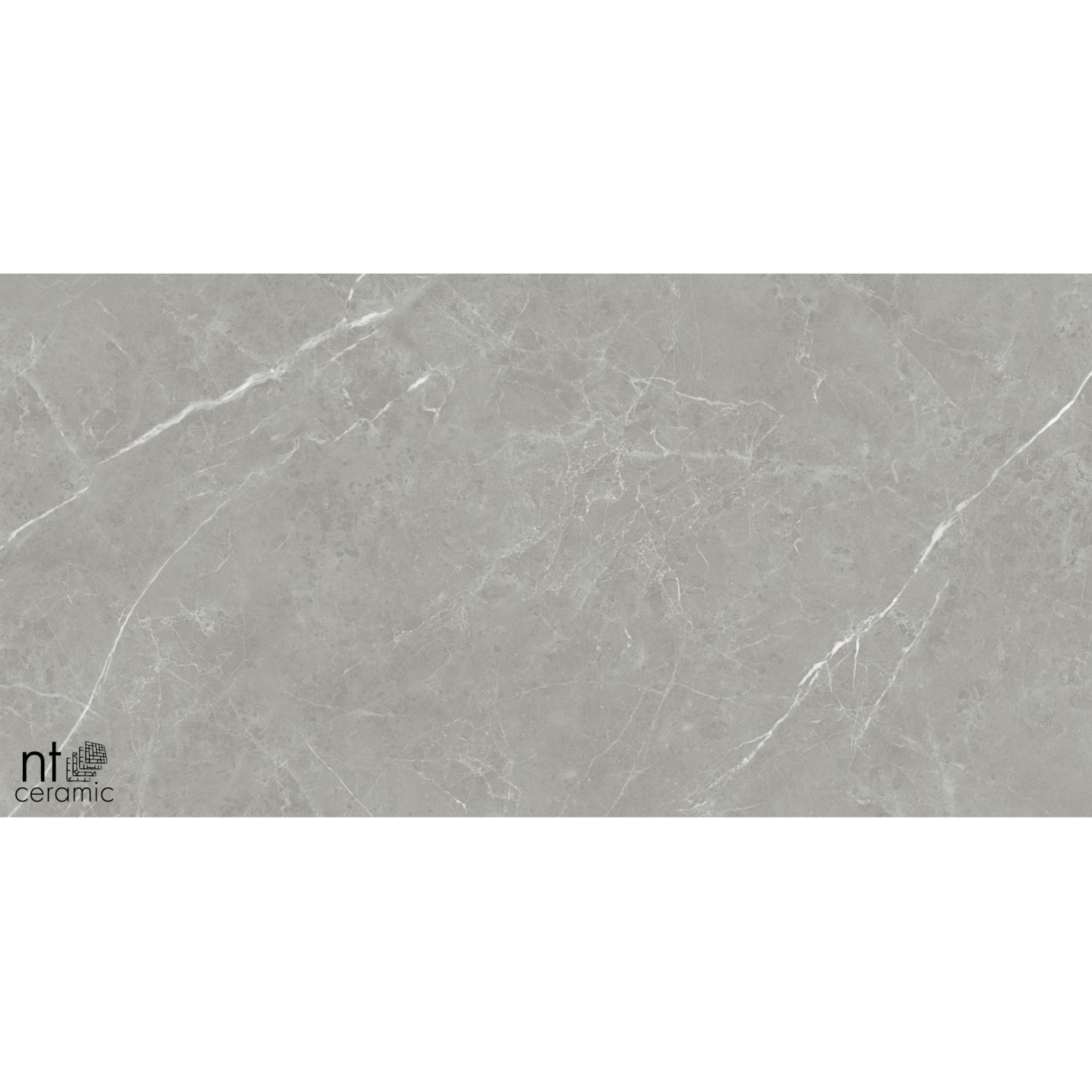 Керамогранит NT Ceramic Pietra NTT1102 60х120 см
