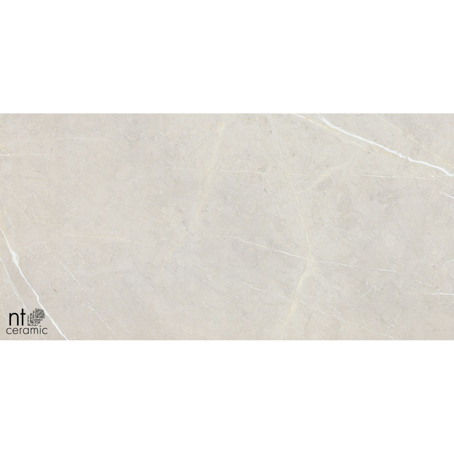 Керамогранит NT Ceramic 60х120 NTT9101 60х120 см